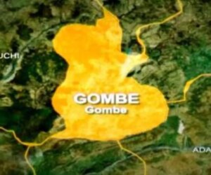Herder shot dead by suspected gunmen in Gombe 