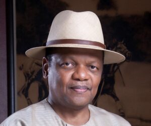 Majority Of Nigerians Had Lost Confidence In INEC, Judiciary — Peterside