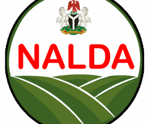 NALDA Partners Private Sector To Drive Mega Farm Projects