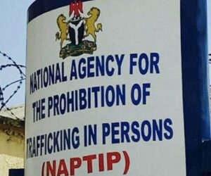 26 Children Rescued As NAPTIP Nabs Orphanage Operator For Suspected Trafficking