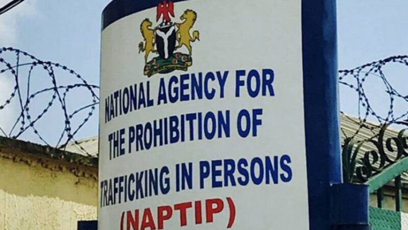 26 Children Rescued As NAPTIP Nabs Orphanage Operator For Suspected Trafficking