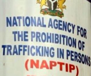 NAPTIP Uncovers Massive Child Trafficking Network In Benue, Abuja