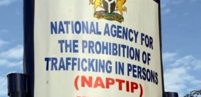 NAPTIP Uncovers Massive Child Trafficking Network In Benue, Abuja