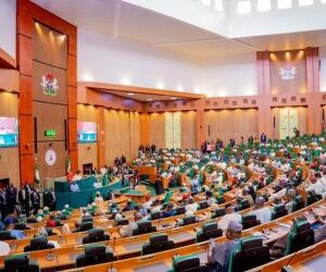 Reps committee launches app, website to address diaspora communication challenges