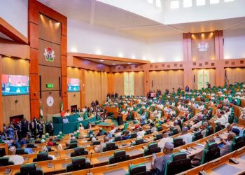 Reps committee launches app, website to address diaspora communication challenges