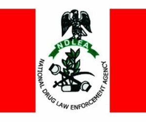NDLEA arrests three suspects, destroys 125,750kg of cannabis in Ekiti