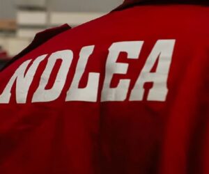 Drug Barons Attack NDLEA Officers, Soldiers In Edo
