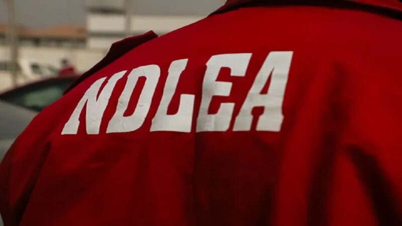 Drug Barons Attack NDLEA Officers, Soldiers In Edo