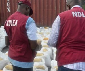 NDLEA Arrests 45,853 Suspects, Secures 9,263 Convicted In 30 Months
