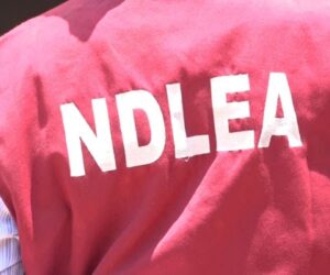 Teenager Killed as NDLEA Operatives, Drug Darons Clash in Edo