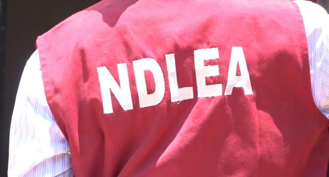 Teenager Killed as NDLEA Operatives, Drug Darons Clash in Edo