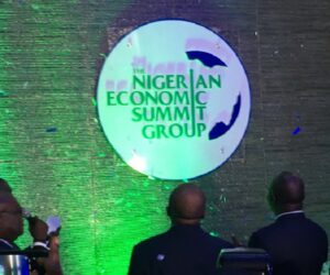 Nigeria needs 27 million new jobs by 2030 to curb unemployment crisis – NESG