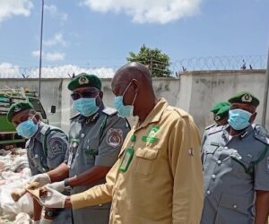 NESREA Destroys 700 Sacks Of Donkey Parts in Kaduna To Curb Illegal Trade – Arise News