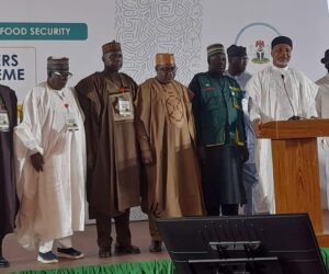 Tinubu Launches Nigerian Farmers’ Soil Health Scheme
