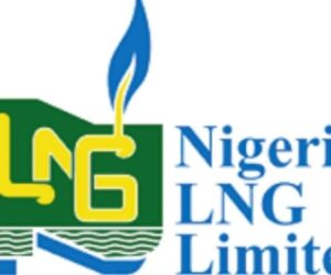 NLNG shortlisted writer May says BusinessDay review made her cry