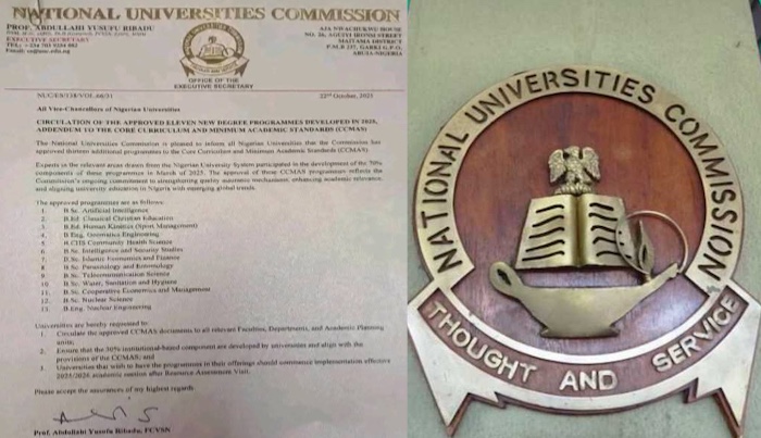 NUC Introduces Artificial Intelligence, Nuclear Engineering Among 13 New Courses For Nigerian Universities – Arise News