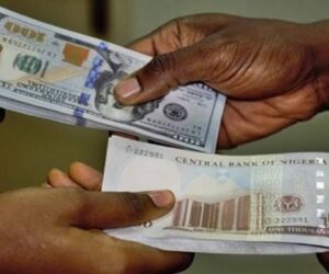 Naira witnesses marginal loss as weekly FX inflows decline