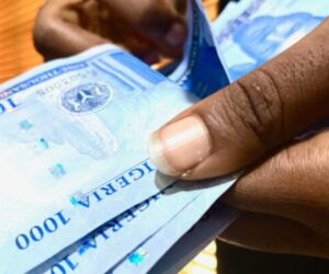 PMI: Nigeria’s Private Sector Ends Q3 Strong | Tech | Business