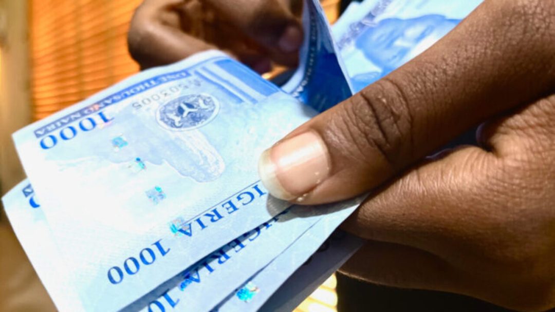 PMI: Nigeria’s Private Sector Ends Q3 Strong | Tech | Business