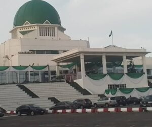 You risk punishment by joining protest, National assembly to legislative workers