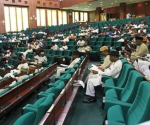 Movement hails NASS approval of new state in S/East