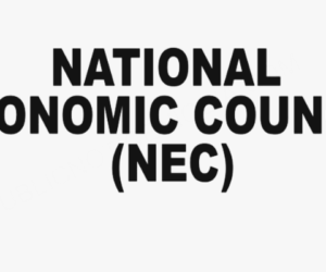 NEC expands oil theft committee to solid minerals coverage