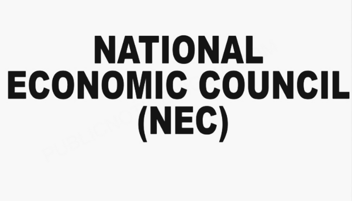 NEC expands oil theft committee to solid minerals coverage