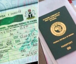 Nigeria Immigration Sensitises Stakeholders on New Visa Regime, Expatriate Quota Reforms – Arise News