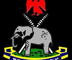 Police arrest man for selling five-day-old baby for N1.5m in Ebonyi