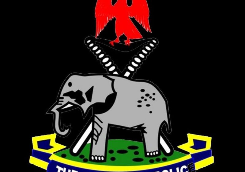 Police arrest man for selling five-day-old baby for N1.5m in Ebonyi