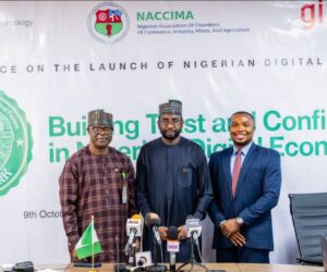 NITDA to Launch Nigeria’s Digital Trustmark Seal to Strengthen Online Safety | Tech | Business