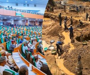 Nigerian Lawmakers Launch Probe to Recover $9bn Lost Yearly to Illegal Mining