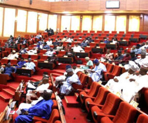 Bill to make ATBU conventional university scales second reading in Senate  