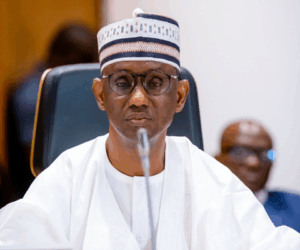 Nigerians differ on amnesty for bandits, terrorists in North