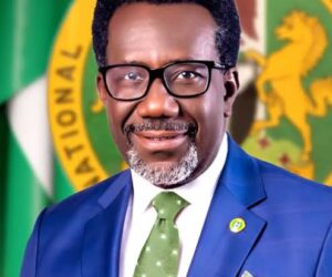 NAICOM, FRSC Joint Cttee Given Seven Point Terms Of Responsibility On Third-Party Motor Insurance