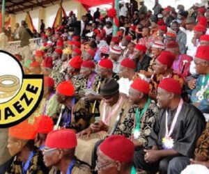 Nnamdi Kanu: Ohanaeze, South-East Govs, Ministers reject Atiku, Sowore’s nationwide protest
