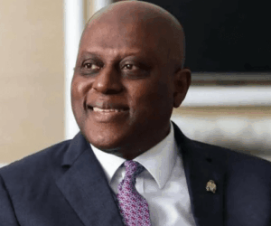 FG has formed team to study stablecoin adoption, says Cardoso