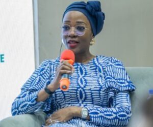 Nigeria Approves National Carbon Market Framework, Eyes $3bn Annual Revenue Ahead of UN Climate Conference in Brazil – Arise News