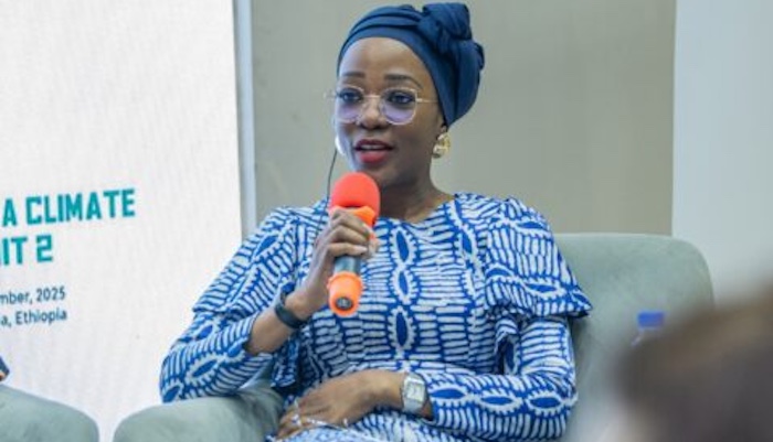 Nigeria Approves National Carbon Market Framework, Eyes $3bn Annual Revenue Ahead of UN Climate Conference in Brazil – Arise News