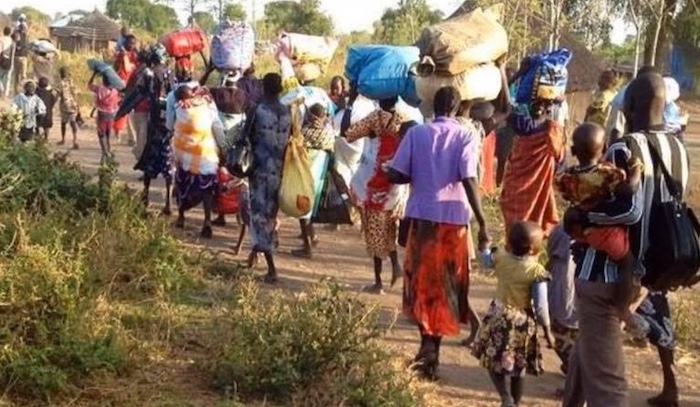 Over 5,000 Nigerians Flee to Cameroon After Boko Haram Seizes Borno Border Town 