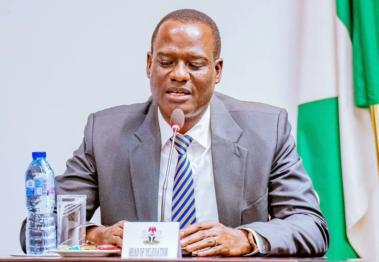 Pensions, stipends, remote earnings of Nigerians in diaspora to be exempted – Taiwo Oyedele