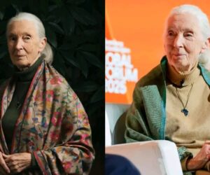 World renowned primatologist, Jane Goodall passes away