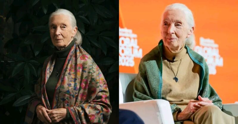 World renowned primatologist, Jane Goodall passes away