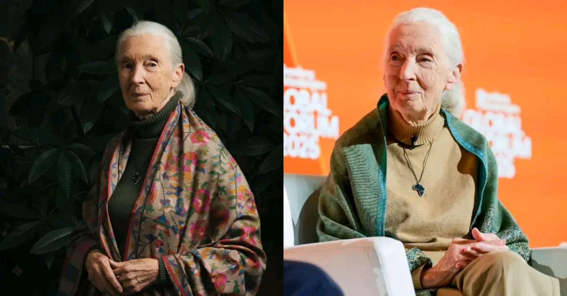 World renowned primatologist, Jane Goodall passes away