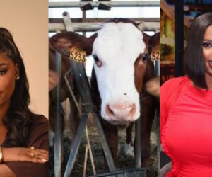Lady cries out over amount spent in purchasing a cow