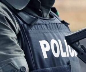 Police Foil Baby-Selling Operation In Ondo, Nab Kidnapping Suspects On Benin-Ore Highway – Arise News
