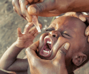 Why fight against wild polio is not over for Nigeria yet – Experts