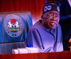 Politics ‘Blinding’ Tinubu To Nationwide Insecurity — ADC