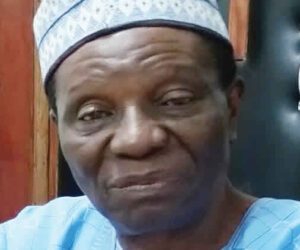Minister’s resignation not enough!, By Tonnie Iredia