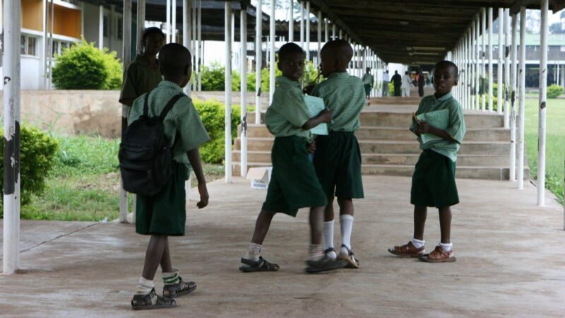 Oyo LG equips 73 primary schools with furniture, educational materials